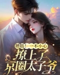 京圈太子爷又宠又撩,酥麻入骨小说免费阅读