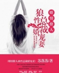 狼性总裁娇宠妻txt