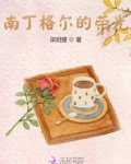 南丁格尔的荣光