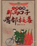 六零军婚文