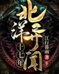 北洋异闻十七年