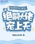 快穿好孕:宿主被绝嗣大佬宠上天加略山的爱
